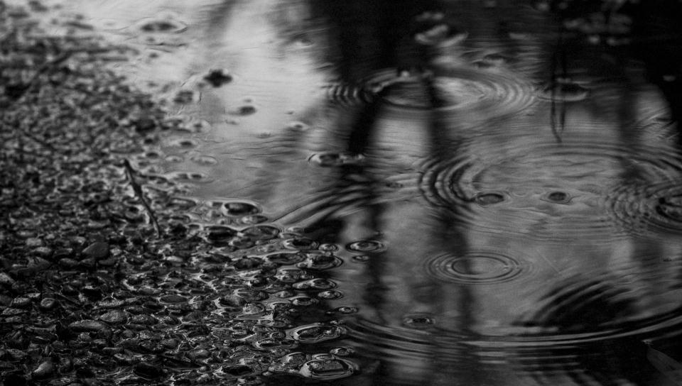 B&amp;W Water puddle featuring Nature, B&amp;W Water puddle - Perfect PS Vita Wallpaper
