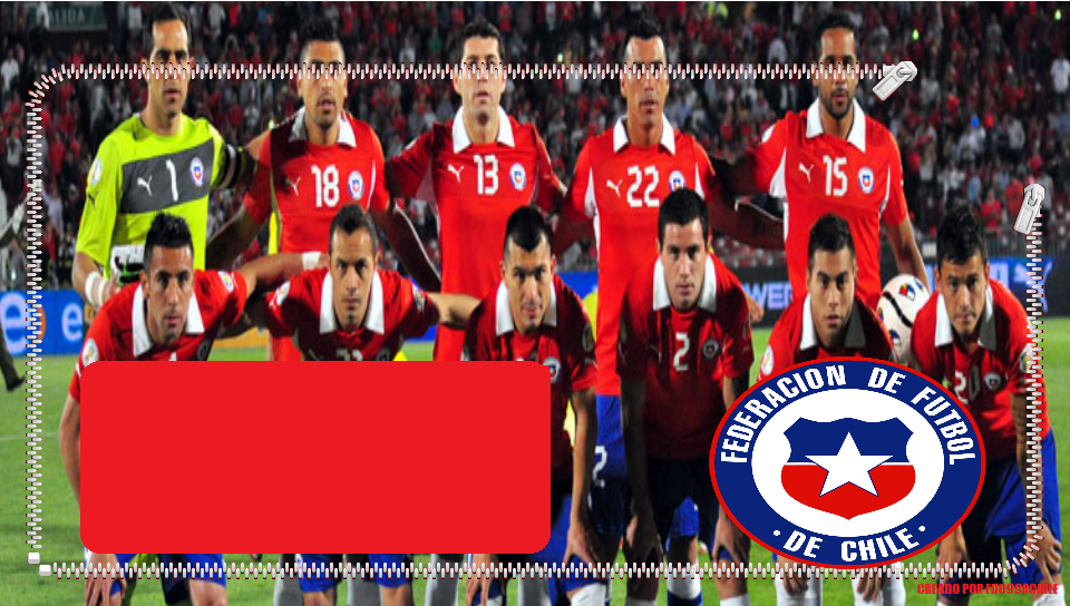 SELECION CHILENA DE FUEBOL 2013 featuring Lockscreen, Other, Sports, 6, Female White Tiger, fifa, melon, soccer - Perfect PS Vita Wallpaper