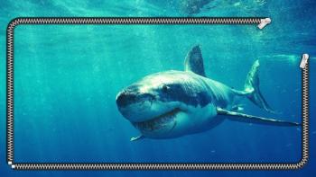 Great White Shark Wallpaper featuring Animal, Lockscreen, Nature, Abstract / Arts - Perfect PS Vita Wallpaper