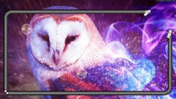 Owl in flame zip lockscreen featuring Abstract / Arts, Animal, Lockscreen, Other, Beckinsale, bubbles, Kate - Perfect PS Vita Wallpaper